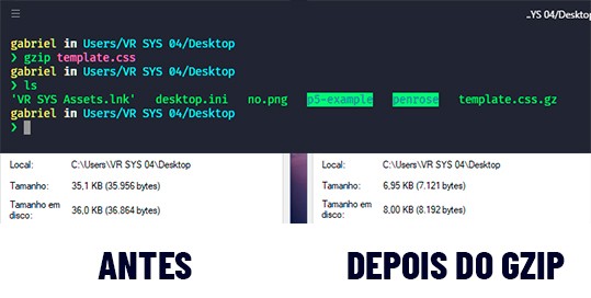 como e por que melhorar a velocidade do seu site img gzip