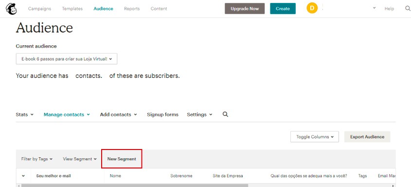 como utilizar o mailchimp para e mail marketing guia basico imagem criando segmento