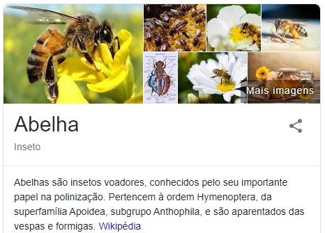 o que significa seo qual a importancia de ter um site otimizado img abelhas